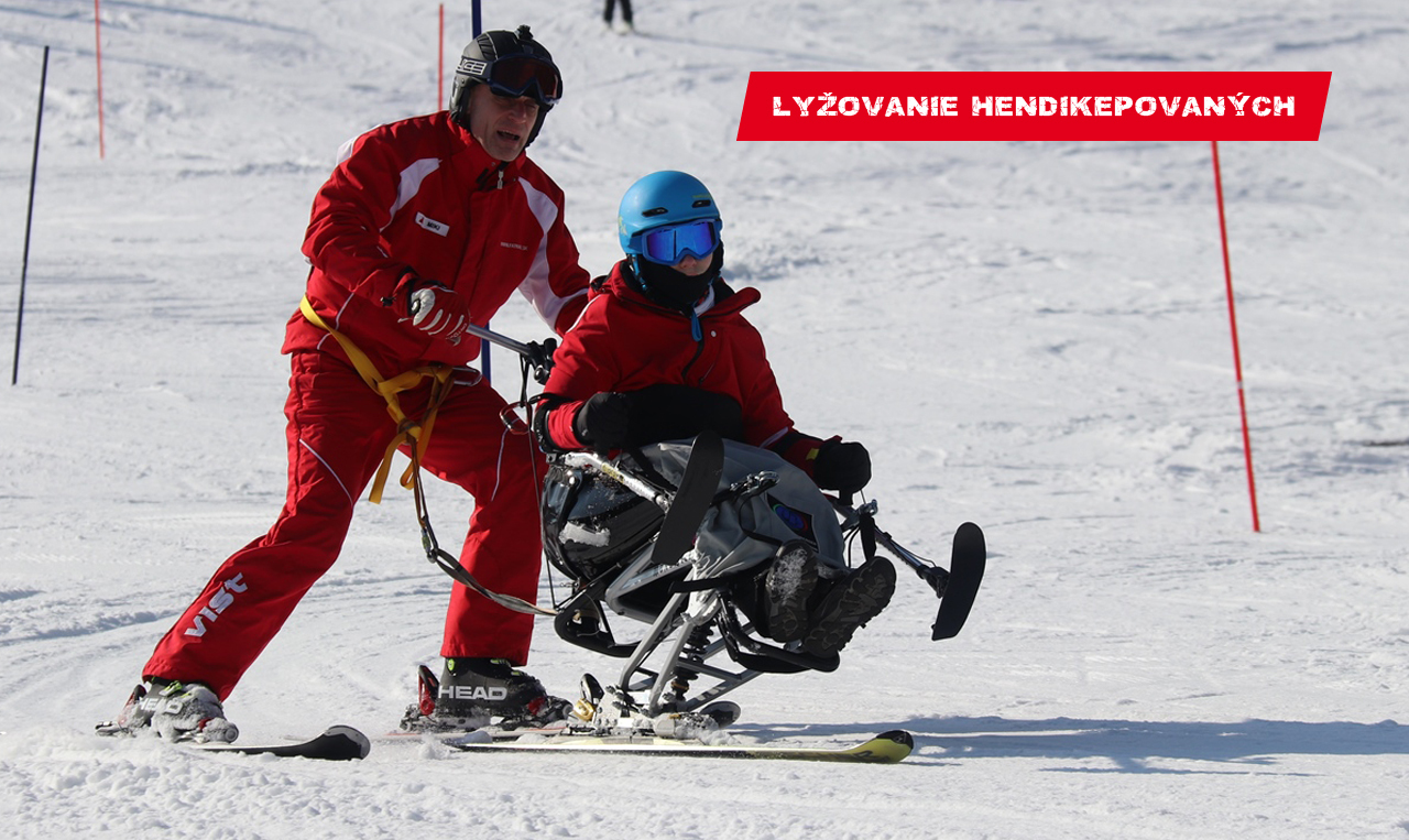 Lyžovanie hendikepovaných