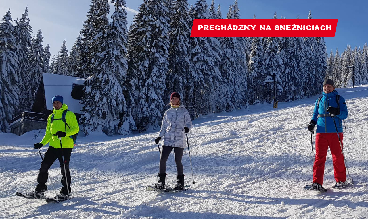 Prechádzky na snežniciach
